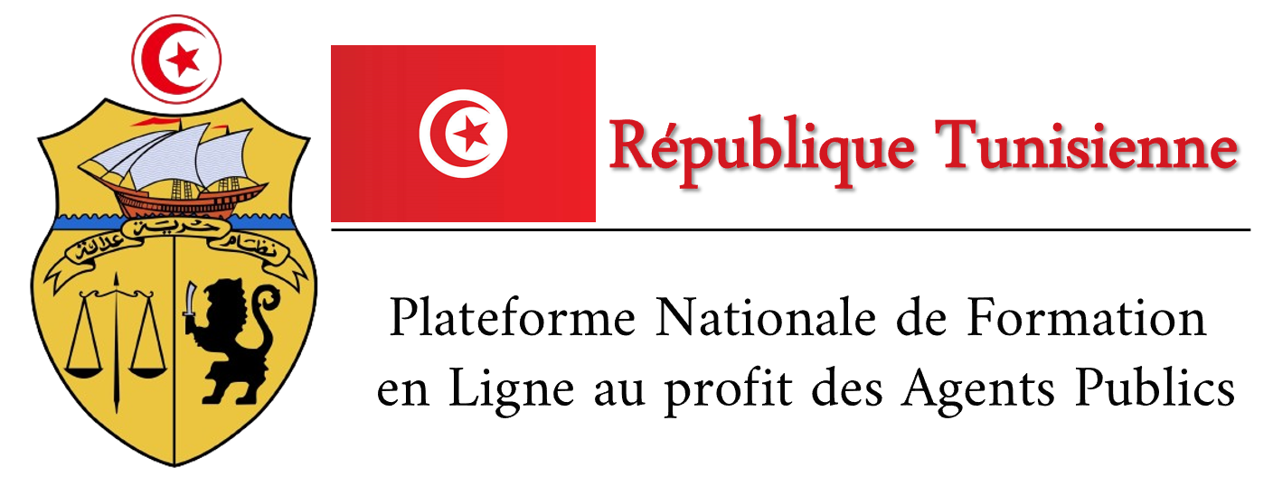 Plateforme Nationale de Formation en Ligne